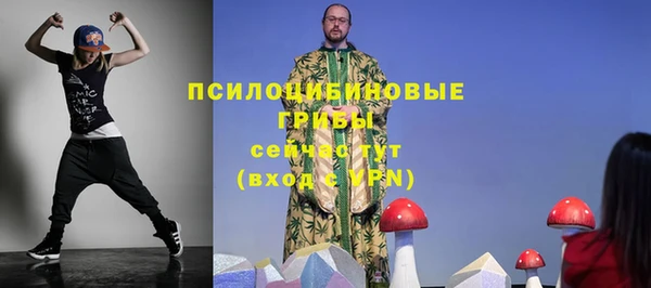 2c-b Липки