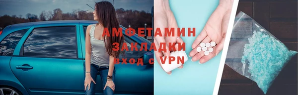 стаф Алзамай