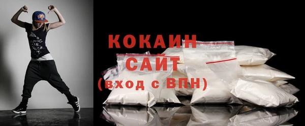 стаф Алзамай
