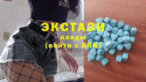 стаф Алзамай