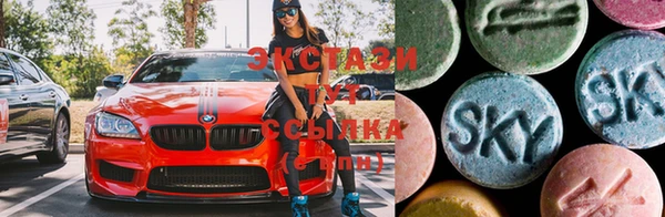 стаф Алзамай
