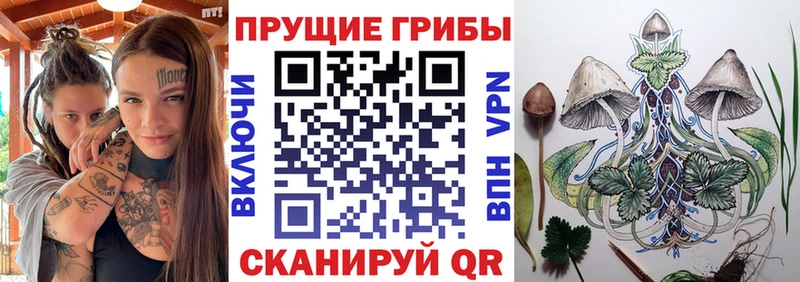Псилоцибиновые грибы MAGIC MUSHROOMS  Сясьстрой 